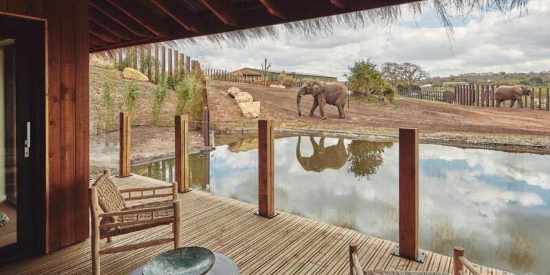 timber and post balustrade