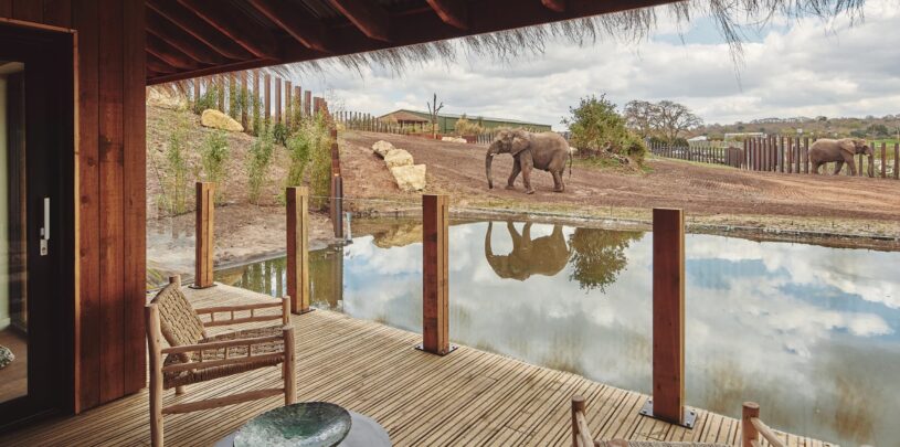 timber and post balustrade