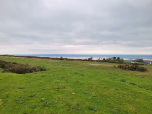 WhatsApp Image 2024 04 30 at 15.45.44 9f5504c9